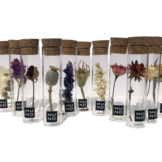 TUBE 10CM WITH DRIED FLOWER