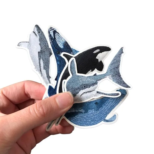 5x Sharks and Whales Sticker Pack