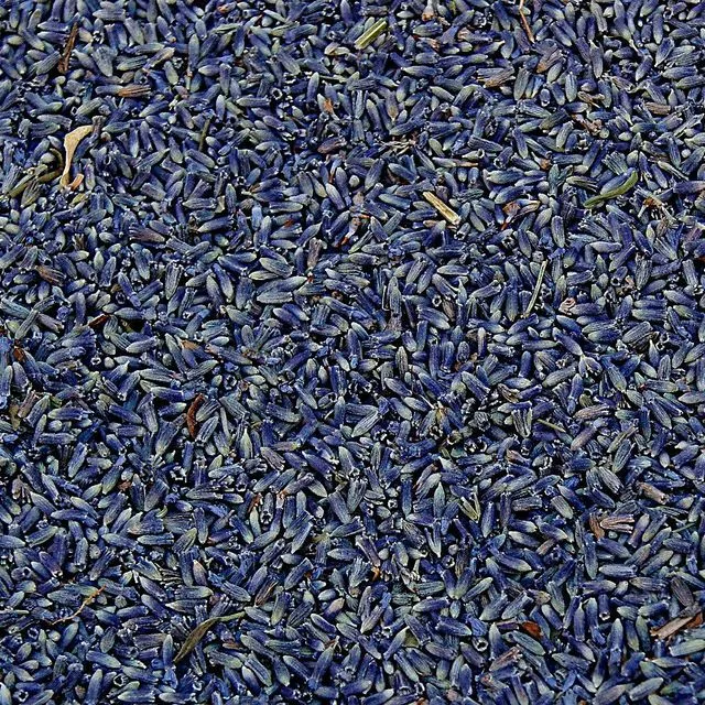 Fleurs de lavende séchées naturel ultra bleu1kg (2 pound)Lavande en vrac, Natural dried lavender flowers ultra blue