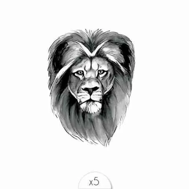 Lion x5 - set of 3