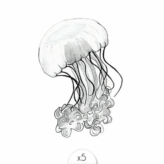 Jellyfish x5 - set of 3