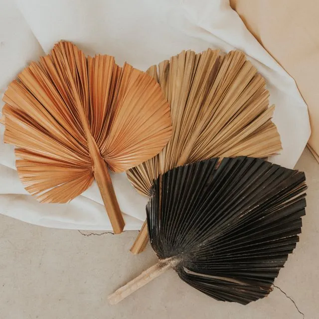 14" Natural/Gold/Charcoal/Rose Gold Hand-Painted Palm Frond
