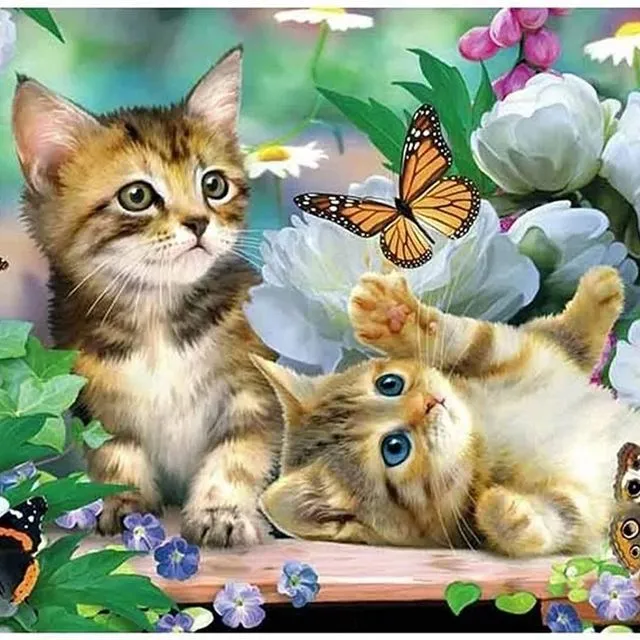 Diamond painting animal cat butterfly