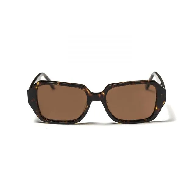 Georgia demi brown frame with smoke lens sunglasses