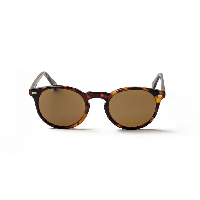 De Niro demi brown frame and brown lens sunglasses