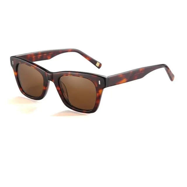 Nicosia demi brown frame and brown lens sunglasses