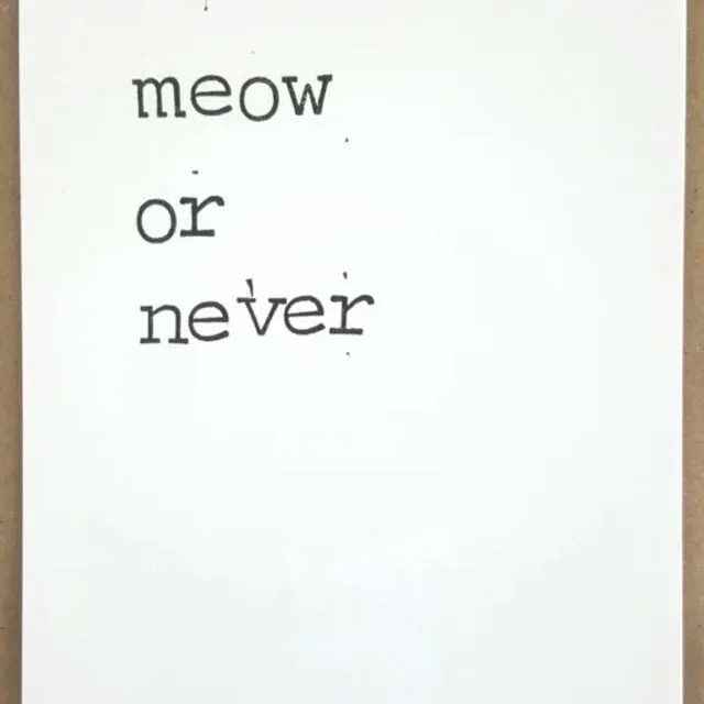 It's meow or never Card - Pack of 10