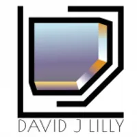 David j lily avatar