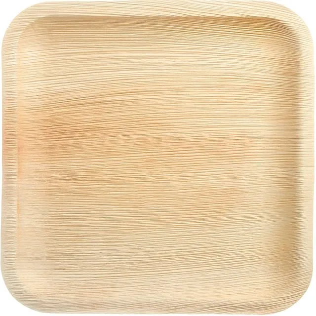 Areca Palm Leaf Disposable Eco-friendly 10" Square Plate, 25cm (Pack Of 25)