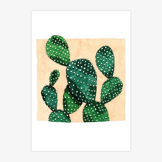Prickly Pear Cactus A4 Print