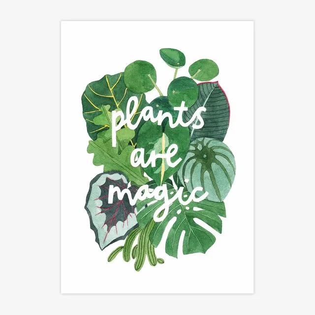 Plants Are Magic A4 Print