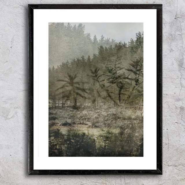 The Peaceful Forest - Art Print