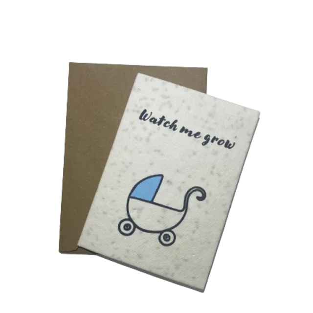 Homemade Seed Boy Birth Cards, Watch Me Grow| Biodegradable,100% Natural Sustainable, Eco Friendly Gift, Including Wild Flower and herb Seeds.