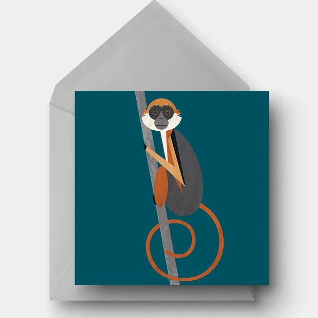 Red Colobus Monkey Greetings Card