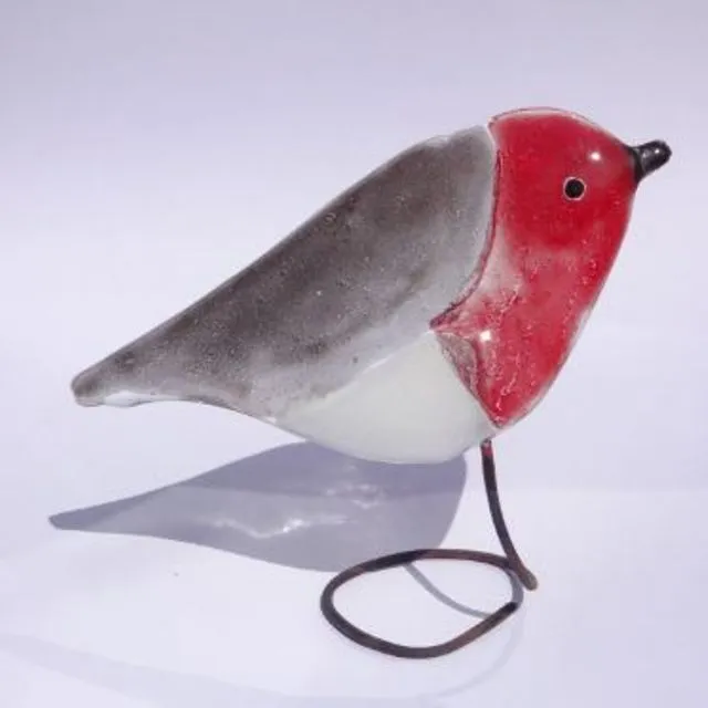 A standing robin