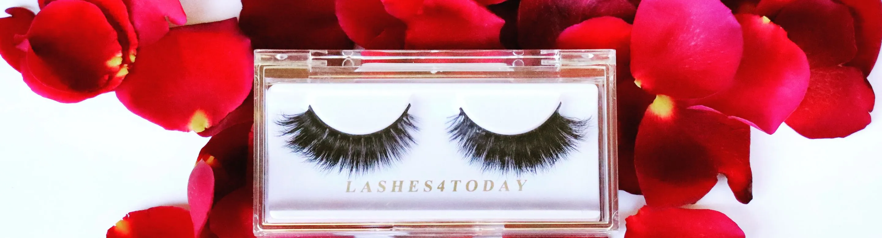 Lashes4today
