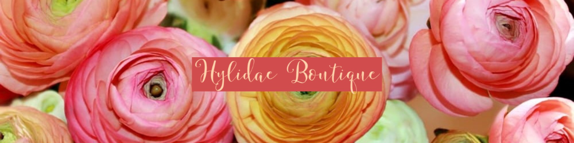 Hylidae Boutique