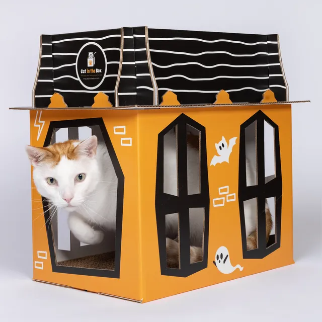 Spooky Cat Haunted House - Cardboard Box Playhouse for Cats
