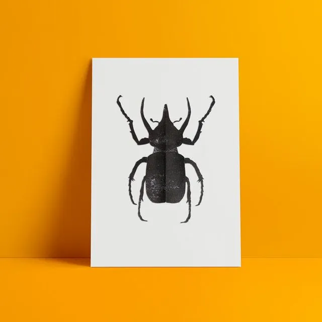 Atlas beetle collage print