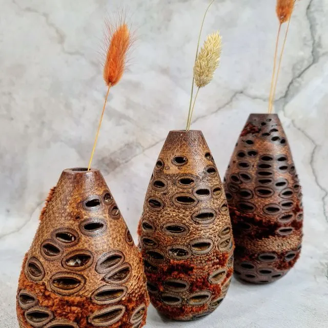 Wooden Bud Vase - set of three (Australian Banksia Nut)