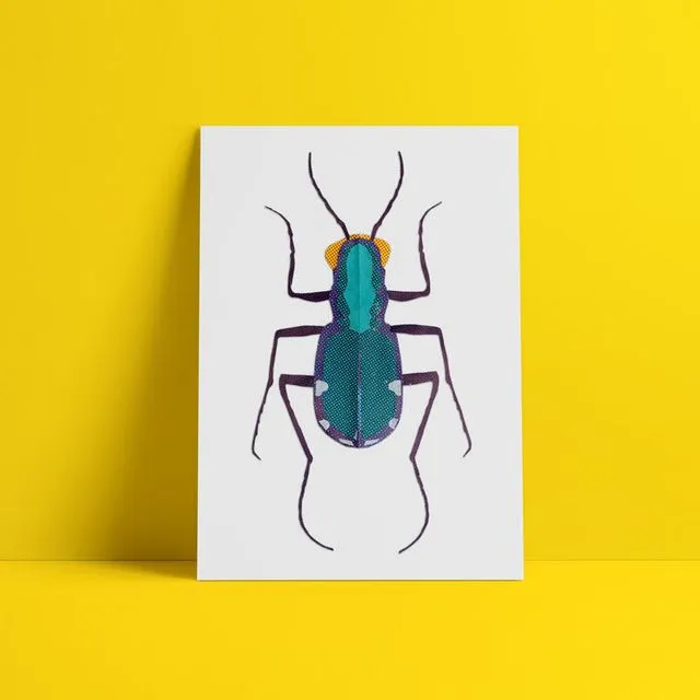 Six spotted tiger beetle