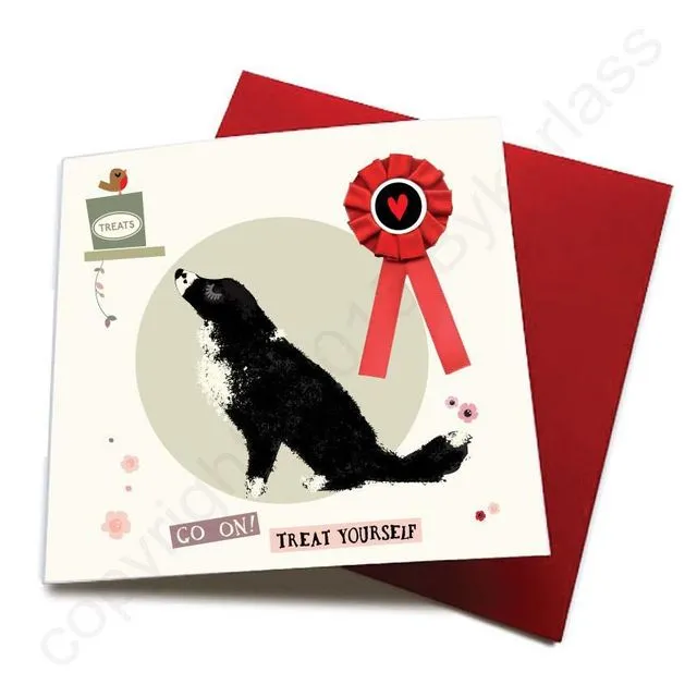 Go On Treat Yourself - Dog Greeting Card (with satin ribbon rosette) - CHDC56 (Six pack)