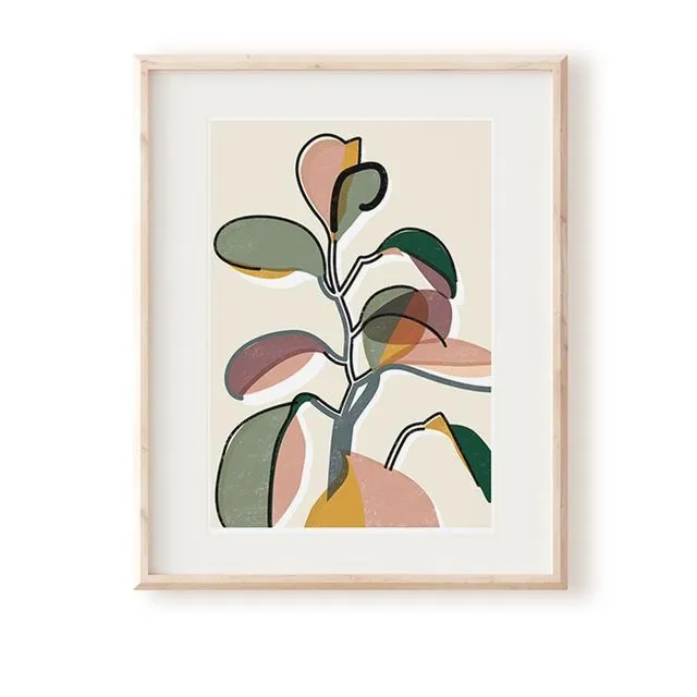 Baby Rubber Plant II Art Print