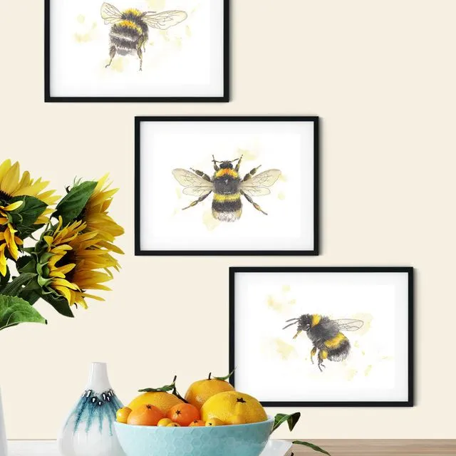 Bumblebee Set of 3 Art Print
