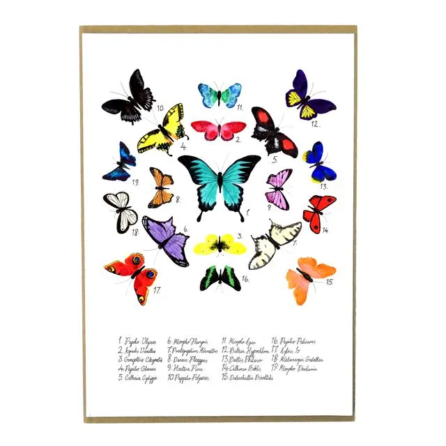 Lepidoptera Butterfly A4 Art Print