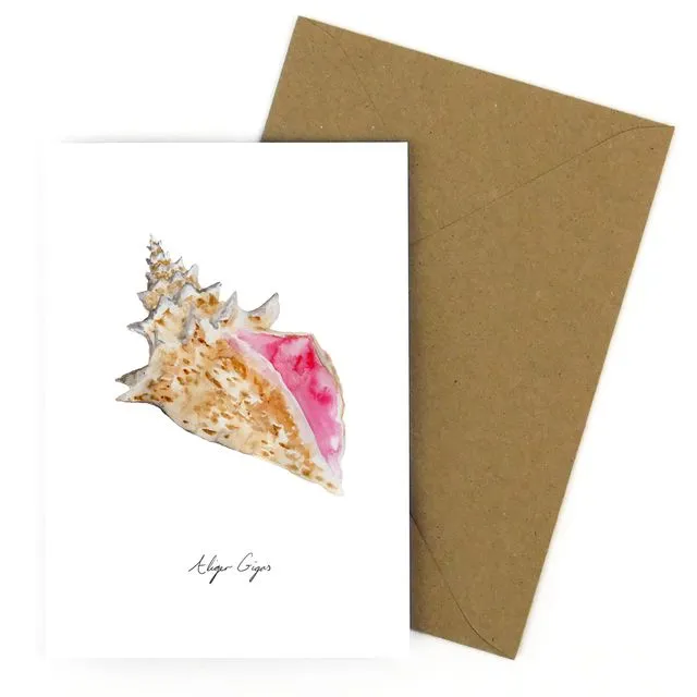 Conch Shell A6 Greetings Card