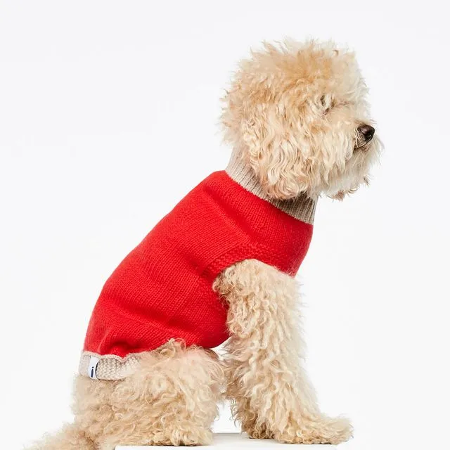 Wool coat for dogs Mark R red