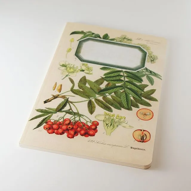 Botanical Notebook – Rowan Tree (WAN18415)
