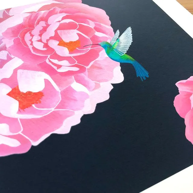 Giclee Fine Art Print - Hummingbird and Peonies