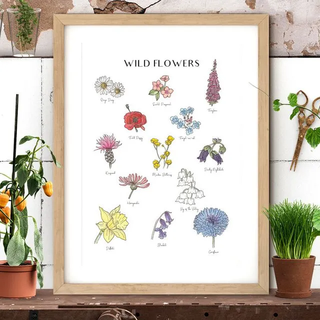 Wildflower Botanical Illustrated Chart Art Print