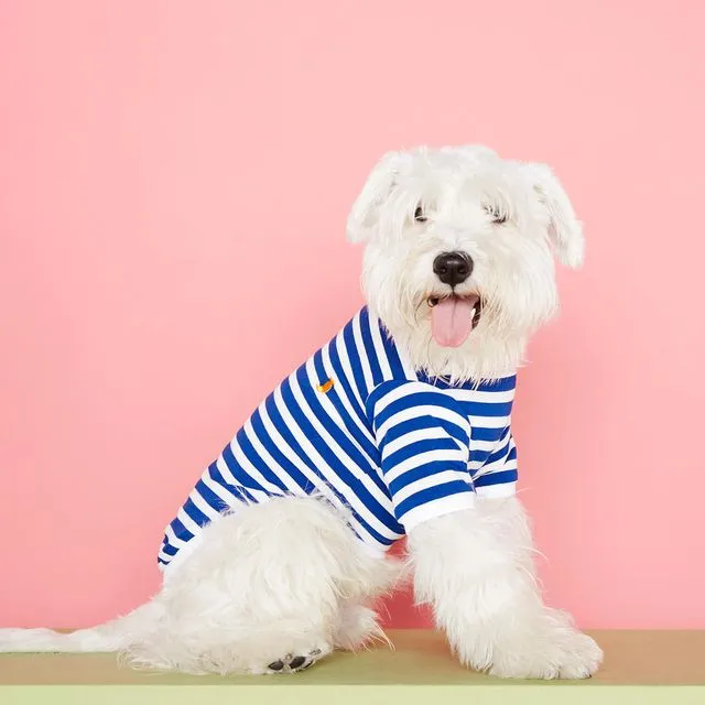 Blue David striped dog t-shirt