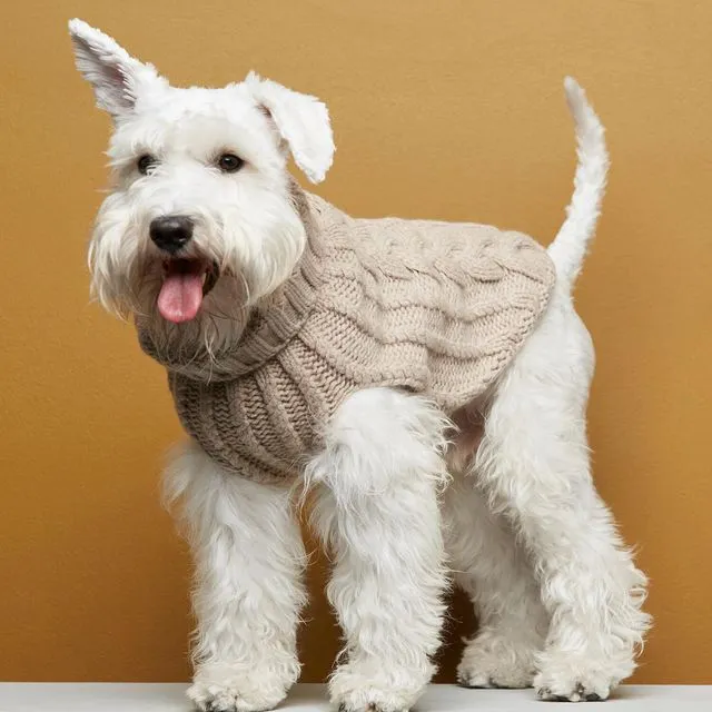 Wool coat for dog John B beige