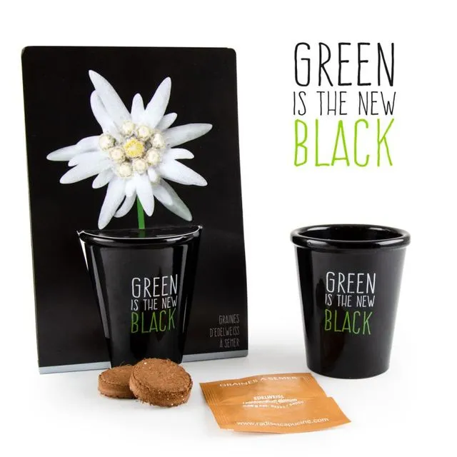 Black Planting Kit - Fleur Edelweiss