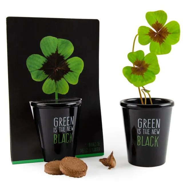 Black Planting Kit - 4 Leaf Clover