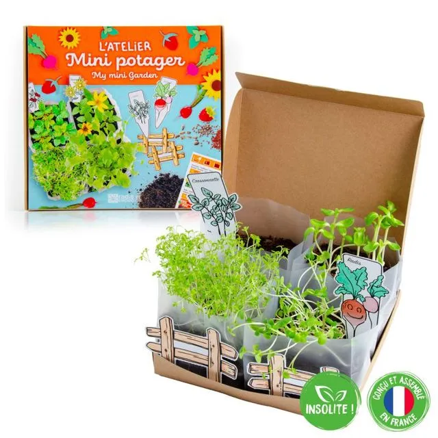The Mini Vegetable Garden Workshop