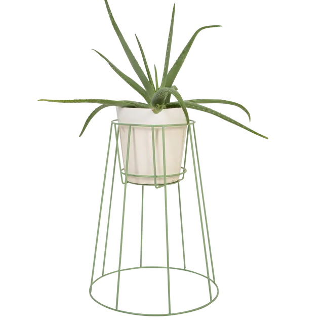 Cibele Plant Stand: Sea Green - Medium