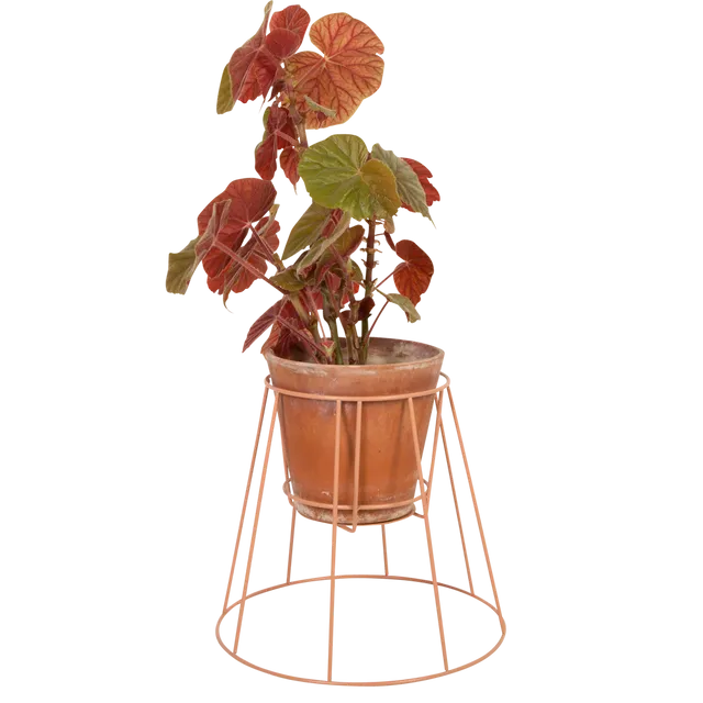 Cibele Plant Stand: Dusty Peach - Small