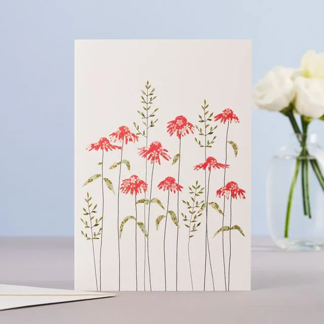 Echinacea Blank Greeting Card