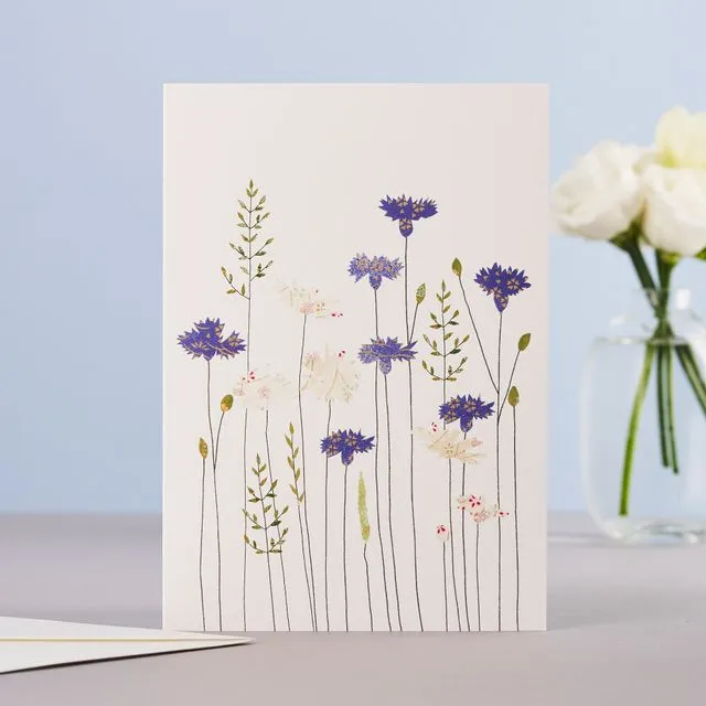 Cornflowers & Daisies Greeting Card