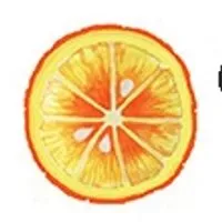 Orange Pip Designs