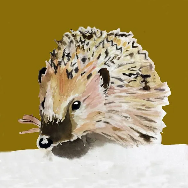 A Hedgehog