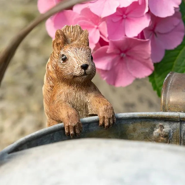 Beatrix Potter Squirrel Nutkin Plant Pot Hanger