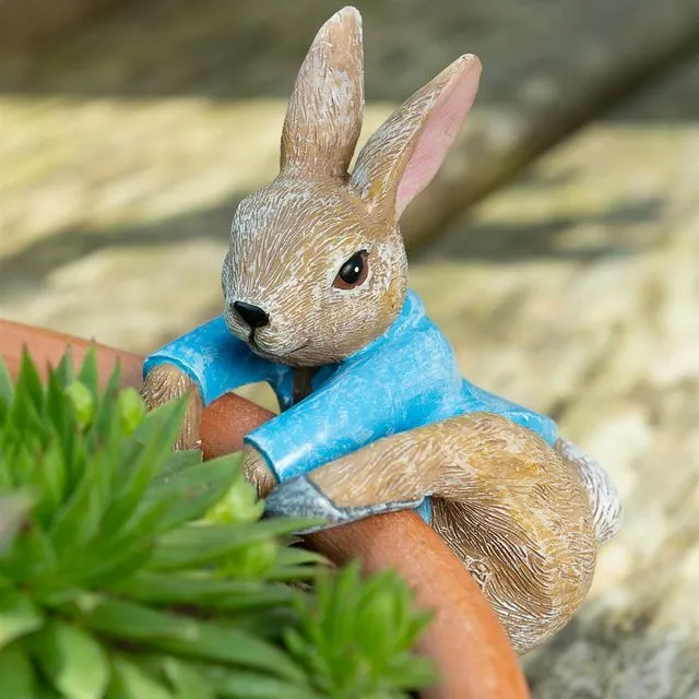 Beatrix Potter Peter Rabbit Climbing Plant Pot Hanger