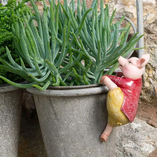 Beatrix Potter Pigling Bland Plant Pot Hanger