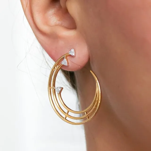 Cosmos Golden Earrings with Zircon