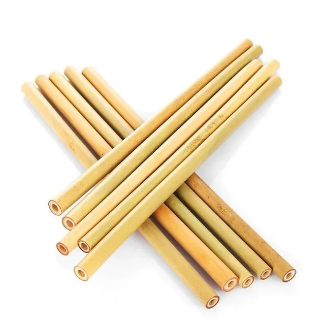 Reusable Eco-Friendly Bamboo Straws 10-Pack